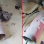 नॉर्थ ईस्ट एक्सप्रेस ट्रेन में अचानक फटा अग्निशमन यंत्र, S3 कोच में मची भगदड़