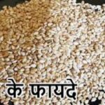 सर्दियों में तिल का सेवन होता है लाभदायक, दूर रहती है बीमारियां