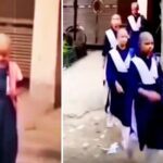 इंसानियत की मिसाल: कैंसर पीड़ित छात्रा के लिए पूरे स्कूल ने मुंडवाया सिर; Video