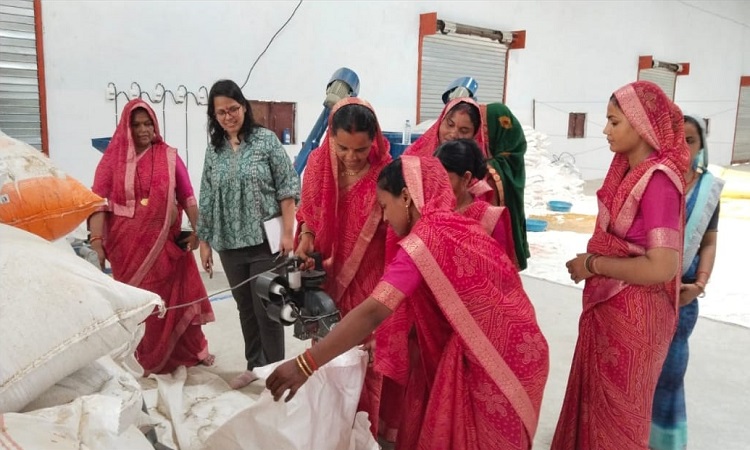 गो सेवा से लखपति बन गईं झांसी की प्रवेश कुमारी