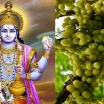 कब मनाई जाएगी आमलकी एकादशी, जाने पूजा विधि एवं महत्व