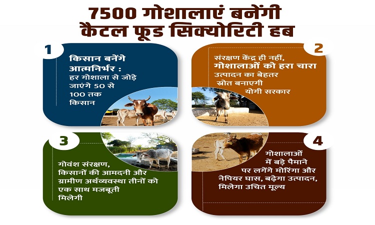 7500 गोशालाएं बनेंगी कैटल फूड सिक्योरिटी हब