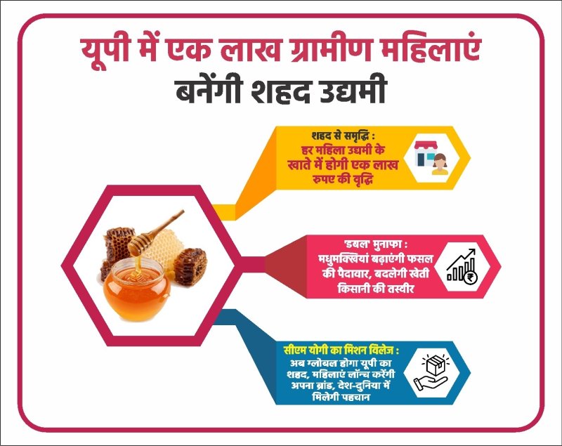 यूपी में एक लाख ग्रामीण महिलाओं के जीवन में मिठास घोलेगा शहद