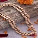 इन लोगों को नहीं पहननी चाहिए तुलसी की माला, होगा नुकसान