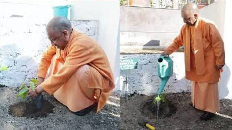 सीएम योगी ने गुरु गोरखनाथ महाविद्यालय में किया पौधरोपण