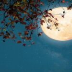 चैत्र पूर्णिमा 2026: हनुमान जयंती के साथ बन रहा है शुभ संयोग, जानें मुहूर्त