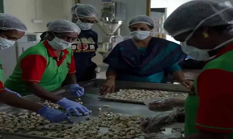 अंतरराष्ट्रीय महिला दिवस पर विशेष: उत्तर प्रदेश में 9 हजार से अधिक महिला संचालित स्टार्टअप बना रहे नई पहचान