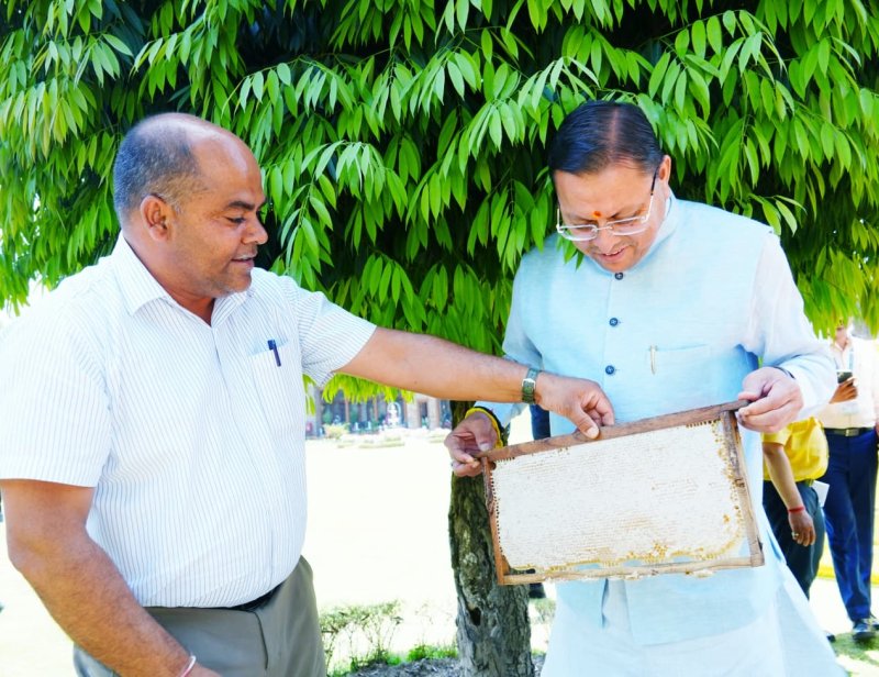 मुख्यमंत्री आवास में 45 दिन में 520 किलो शहद उत्पादन, धामी बोले- मधुमक्खी पालन बनेगा स्वरोजगार का मजबूत माध्यम