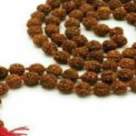 रुद्राक्ष की माला धारण करने के बाद इन नियमों का जरूर रखें ध्‍यान