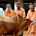 मेगा कैंपेन चलाकर घर-घर पहुंचाया जाएगा ‘जहर मुक्त भोजन’