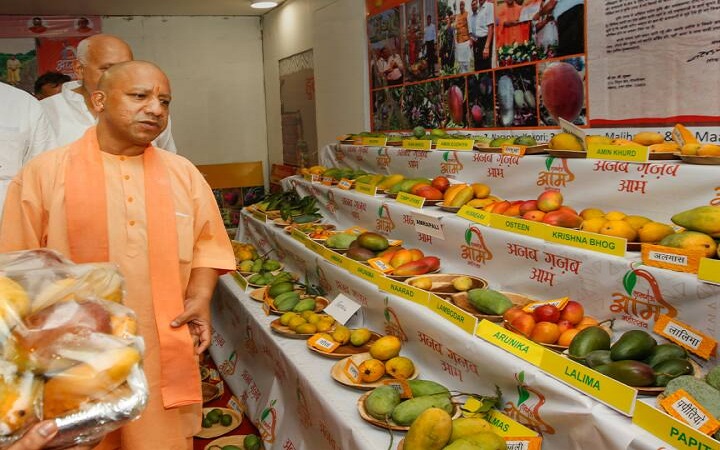 सीएम योगी शुक्रवार को उत्तर प्रदेश आम महोत्सव का करेंगे शुभारंभ