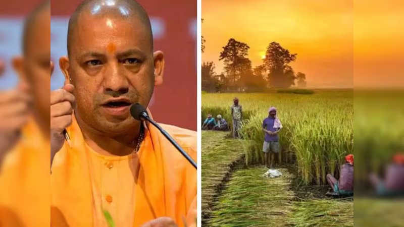 सरकार ने किसानों को दिलाया भरोसा- परेशान न हों, प्रदेश में पर्याप्त उर्वरक उपलब्ध