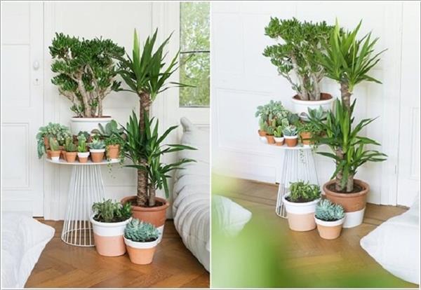 घर में जरूर लगाएं ये 8 पौधे, रात को भी देते हैं ऑक्सीजन - 8-plants-which-give-out-oxygen-even-during-the-night - Nari Punjab Kesari