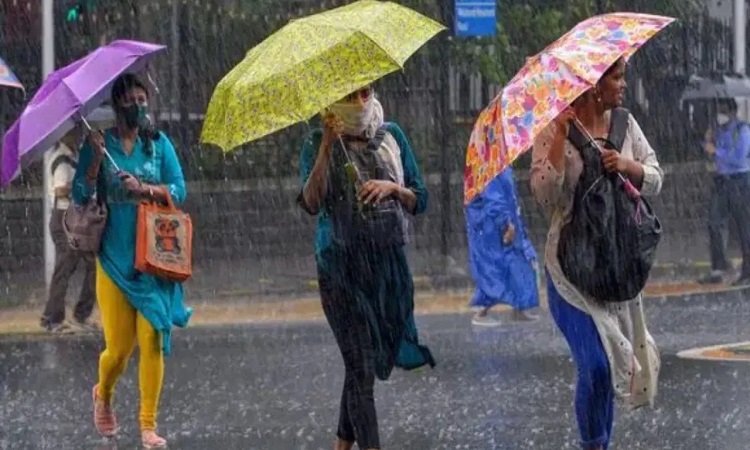 मानसून उत्तर प्रदेश की ओर सक्रिय, अगले 48 घंटे भारी बारिश के आसार