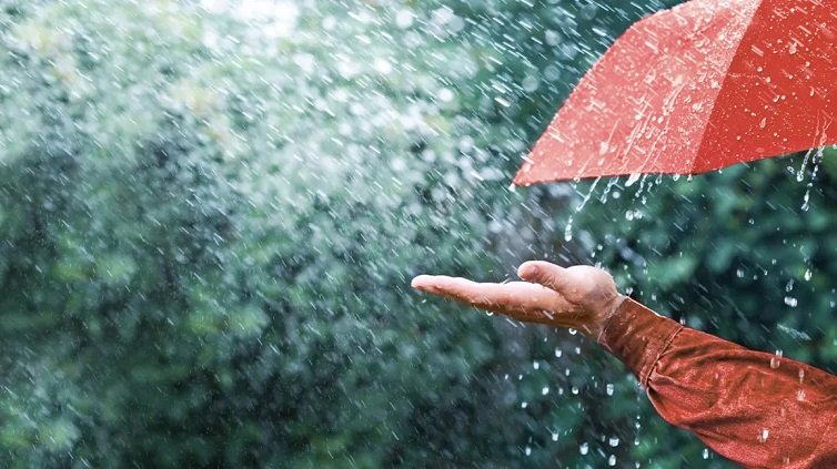 गृह कलेश से है न परेशान, तो करें बारिश के पानी से चमत्कारी उपाय