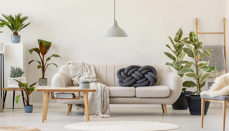 home tips,household tips,interior decoration tips,indoor plants tips,home decoration tips ,होम टिप्स, घरेलू टिप्स, बेहतरीन इंटीरियर टिप्स, इंडोर प्लांट्स टिप्स, घर की साज सज्जा