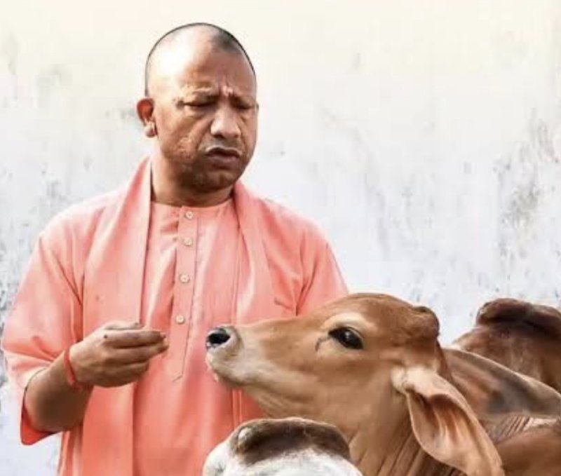 मुख्यमंत्री योगी के नेतृत्व में गोवंश संरक्षण को मिल रहा बढ़ावा