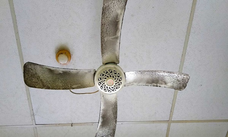चुटकियों में साफ हो जाएगी सीलिंग फैन पर जमा गंदगी, बहुत काम का है ये हैक्स